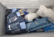 대전시 특사경, 동물병원 의료폐기물 관리 강화