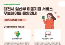 4월 1일부터 임산부 택시 이용, 확~ 편해진다