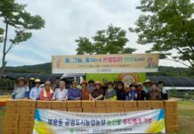 드림텃밭에서 키운 감자, 맛있는 나눔으로 변신