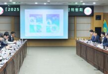 310만이 인정한 대한민국 대표 축제 ‘2025 대전 0시 축제’본격 시동 걸었다