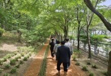 한밭수목원 맨발걷기 산책로, 일일 방문객 1천 명… 도심 속 ‘건강 힐링코스’로 인기몰이