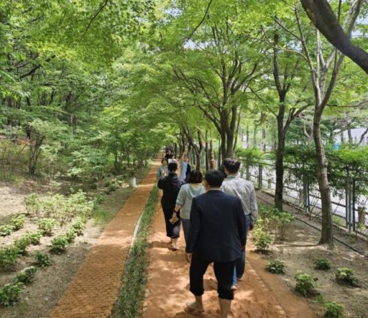 한밭수목원 맨발걷기 산책로, 일일 방문객 1천 명… 도심 속 ‘건강 힐링코스’로 인기몰이