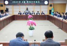 “꿈돌이라면, 대전에서만 먹을 수 있다…도시브랜드 전략”