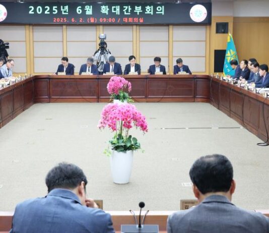 “꿈돌이라면, 대전에서만 먹을 수 있다…도시브랜드 전략”