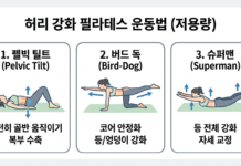 현대인의 고질병 ‘요통’ 잡는 속근육의 힘… 허리 강화 필라테스 운동법
