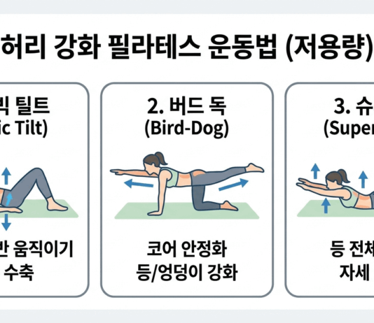 현대인의 고질병 ‘요통’ 잡는 속근육의 힘… 허리 강화 필라테스 운동법